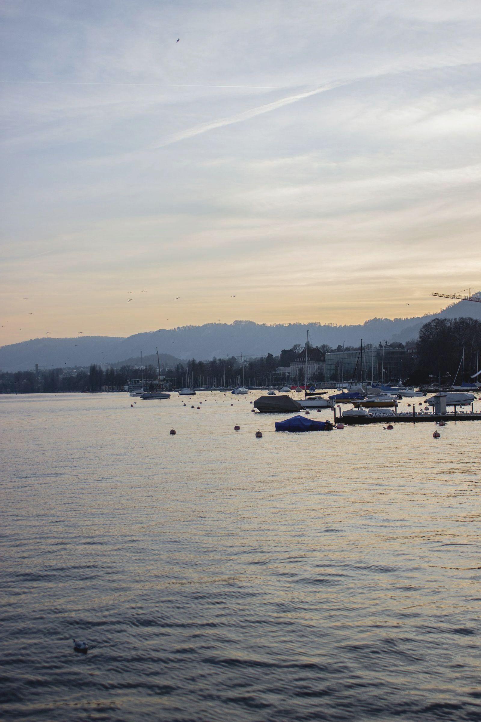 Zürichsee am Abend mit Booten am Steg